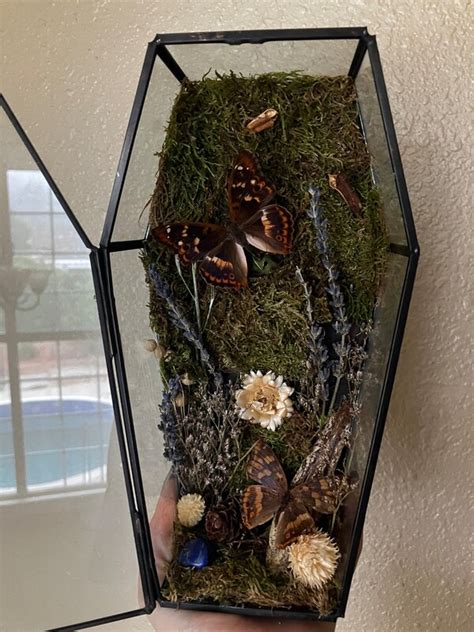 Michaels Glass Coffin Terrarium: A Unique and Stylish Addition to Your Home